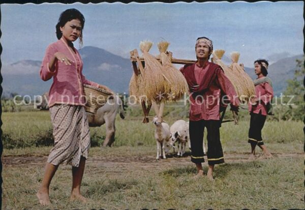 Tanz Taenzer Gondang Dance West Java