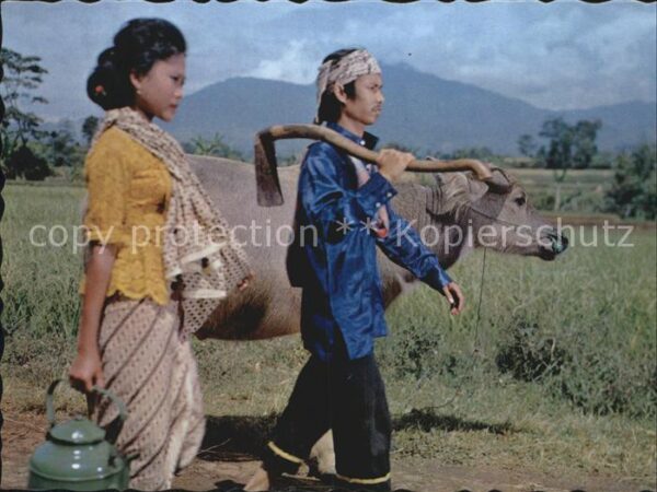 Landwirtschaft Farmer and his wife West Java