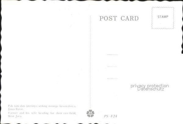 Landwirtschaft Farmer and his wife West Java – Bild 2