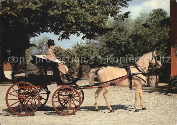 Pferdekutschen Phaeton Carrosserie Kauffmann Basel