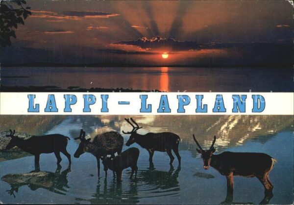 Tiere Lappi Lapland