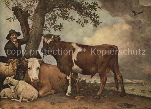 Kuenstlerkarte Alte Kuenstler Paulus Potter Der junge Stier