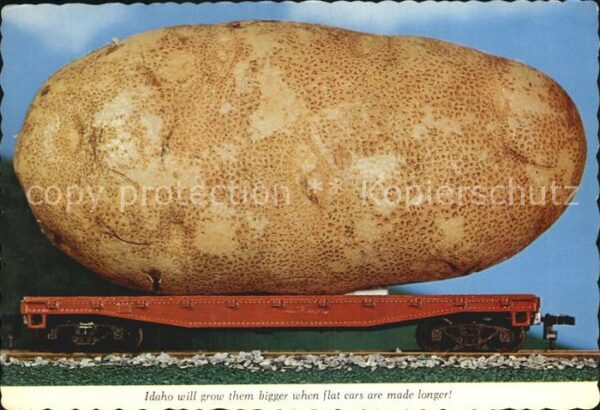 Landwirtschaft Idaho Potato