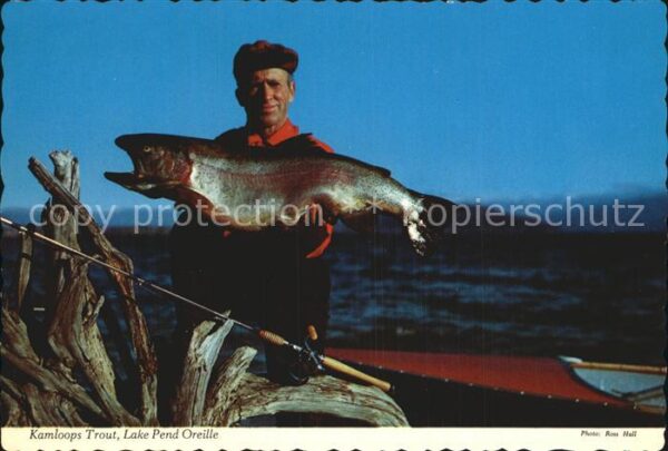 Fische Kamloops Trout Lake Pend Oreille