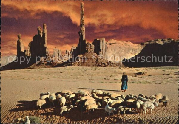 Schafe Monument Valley Navajo Woman
