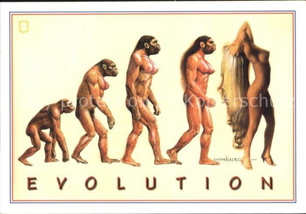 Kuenstlerkarte Domenec  Evolution