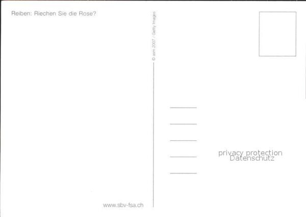 Rosen Duftpostkarte – Bild 2