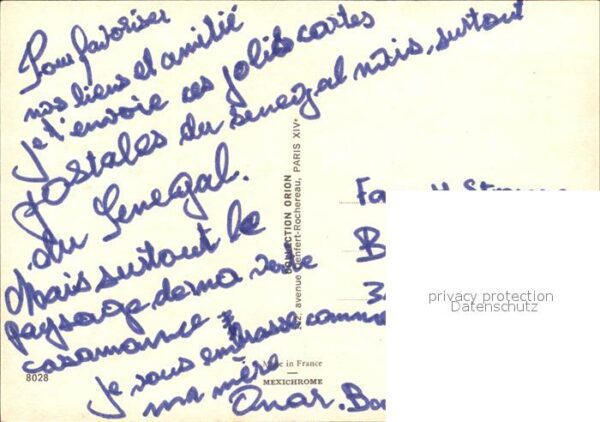 Affen – Bild 2