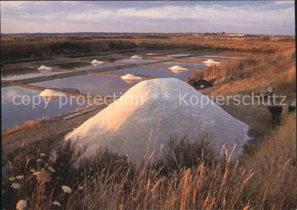 Salzgewinnung Saline Mulon de Sel Presqu_ile de Guera