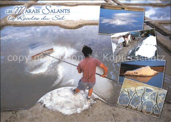 Salzgewinnung Les Marais Salants Recolte du Sel Salza