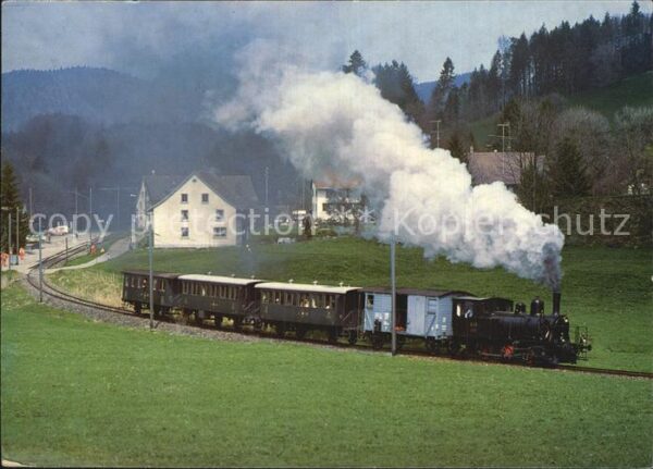 Lokomotive DVZO-Dampfzug ob Neuthal