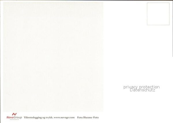 Schmetterlinge – Bild 2