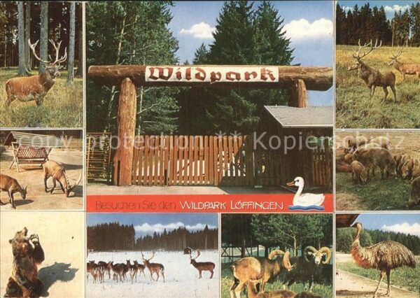 Tiere Wildpark Löffingen Bär Hirsch Wildschwe
