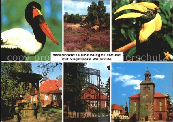 Voegel Vogelpark Walsrode