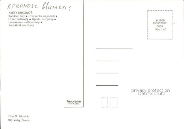 Blumen Kvety Krkonos Koniklec bily Prvosenka n – Bild 2