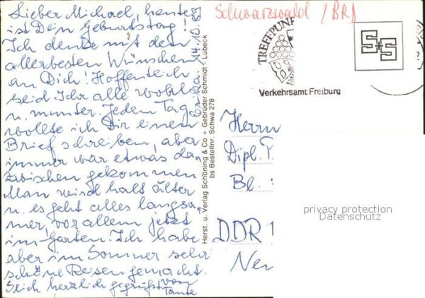 Schmetterlinge Apollo Schwalbenschwanz Feldhamster Uhu – Bild 2
