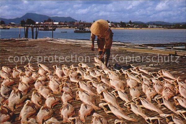 Fische Fischer Dryinf of Salted Fish Peninsula