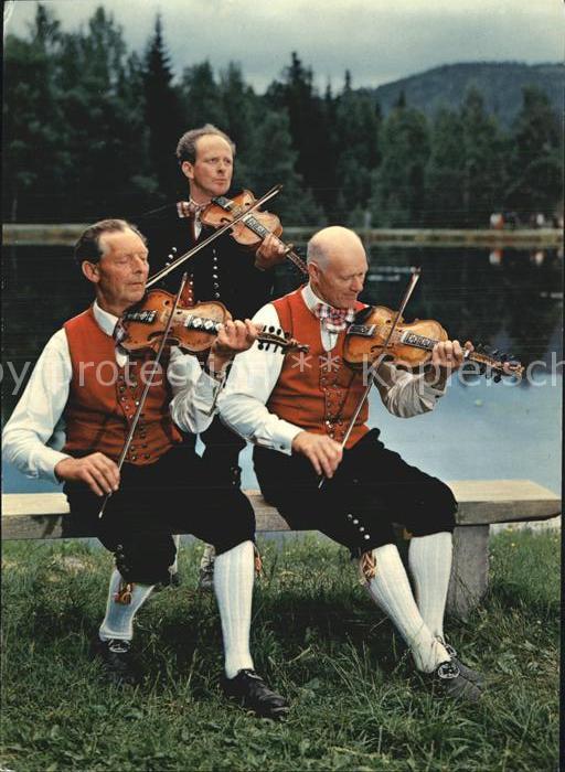 Geige Norwegen Trachten