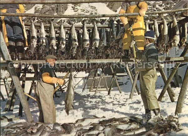 Fischerei Norway Drying fish