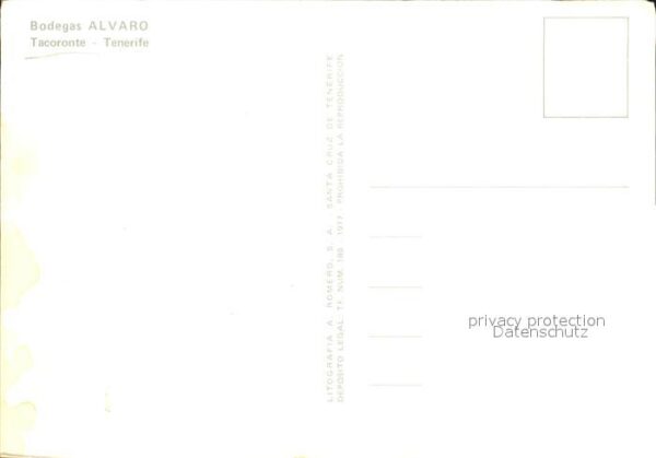 Tacoronte Bodegas Alvaro – Bild 2