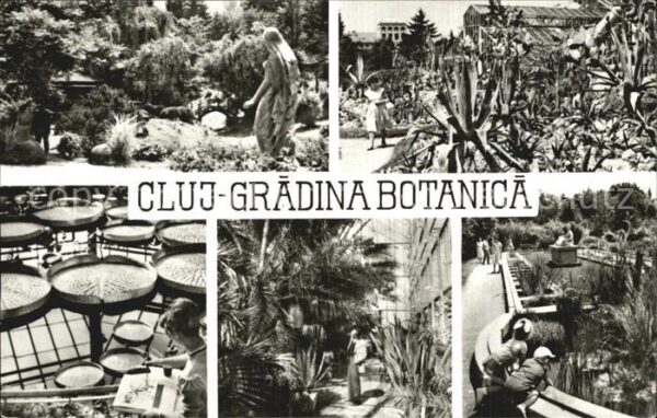 Cluj-Napoca Gradina Botanica