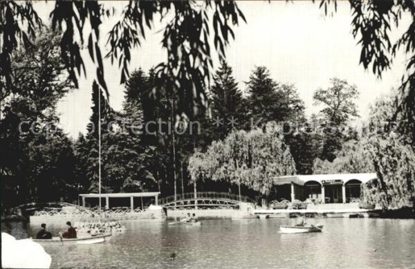 Vilcea Partie am See