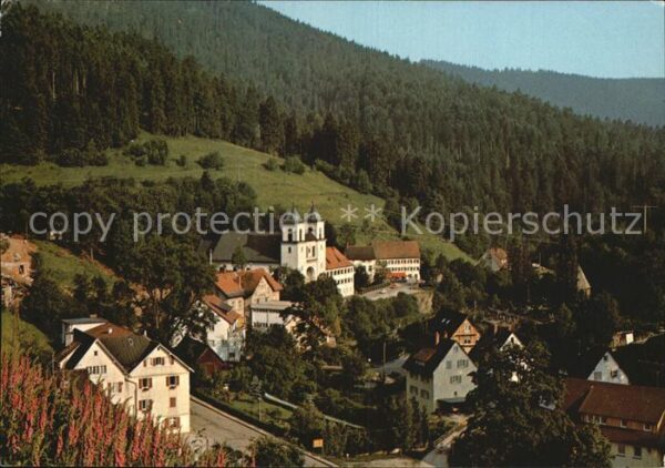 Bad Rippoldsau Schwarzwald Moorbad Klösterle