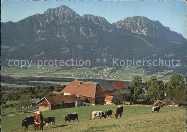 Strobl Alm am Högel mit Hochstaufen Zwiesel