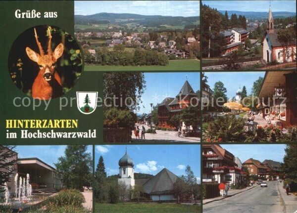 Hinterzarten Teilansicht Kirchen Rathaus