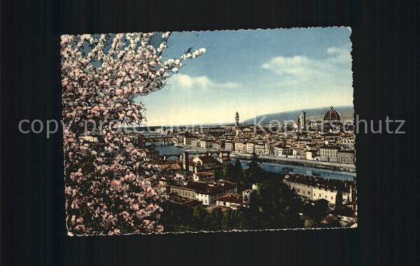 Firenze Florenz Panorama