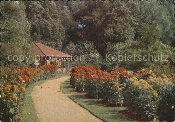 Landau Pfalz Dahliengarten im Tierpark