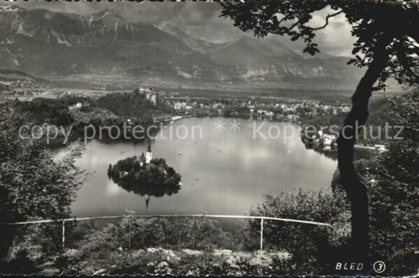 Bled Blick auf den See