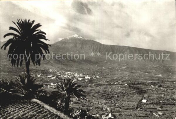 Santa Cruz de Tenerife