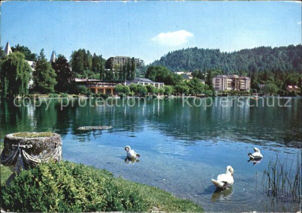 Bled Partie am See