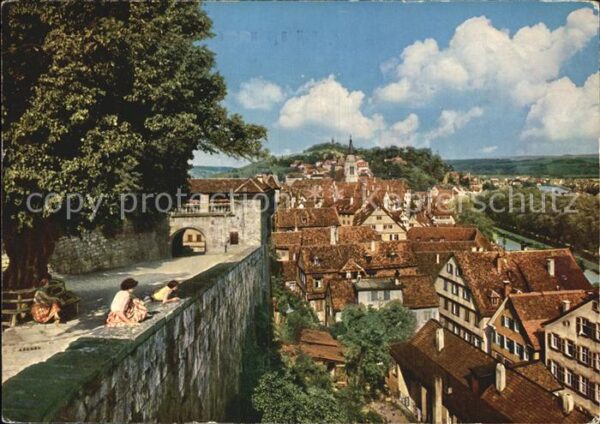 Tuebingen Schloßlinde Ansicht
