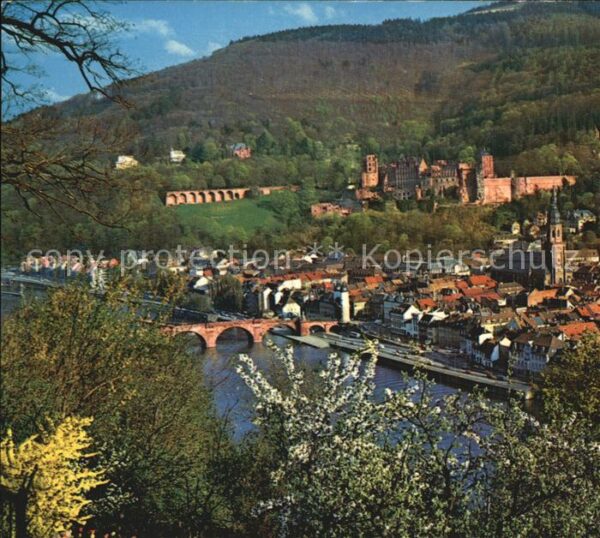 Heidelberg Neckar Frühling Schloß