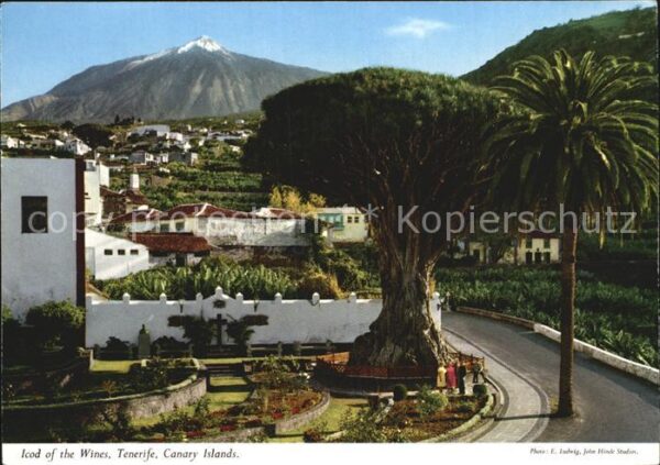 Tenerife Icod of the Wines