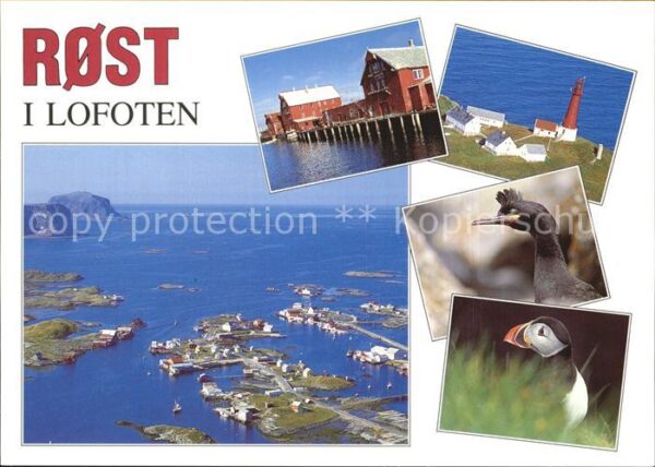 Rost Lofoten Deler av Rostlandet med fuglefjellene S