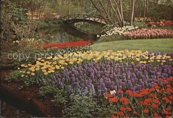 Lisse Keukenhof
