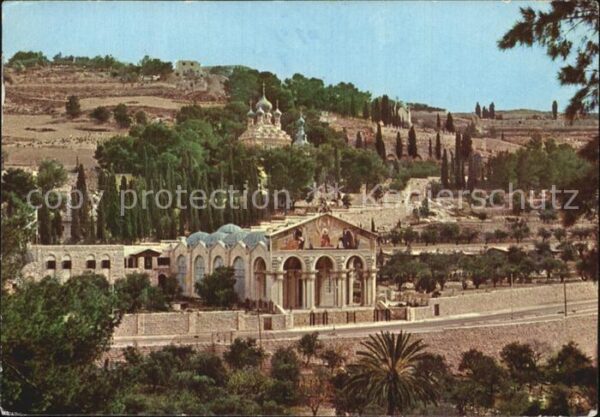 Jerusalem Yerushalayim Basilica and Gardens of Gethsemane