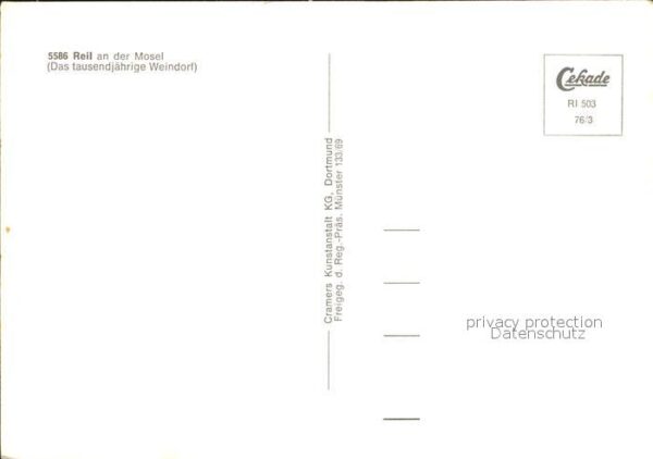 Reil Mosel Fliegeraufnahme – Bild 2
