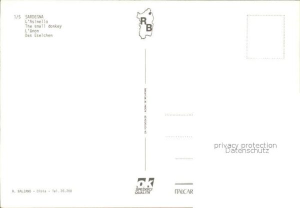 Sardegna Asinello Esel – Bild 2