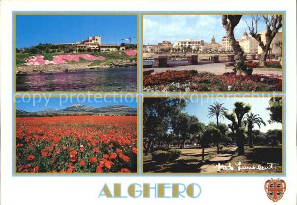 Alghero Teilansichten Mohnfeld