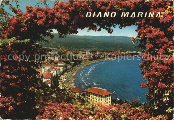 Diano Marina Panorama e Golfo Baumblüte