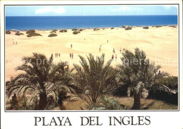 Playa del Ingles Palmen Dünen Strand Meerblick