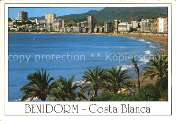 Benidorm Playa de Poniente Strand Palmen