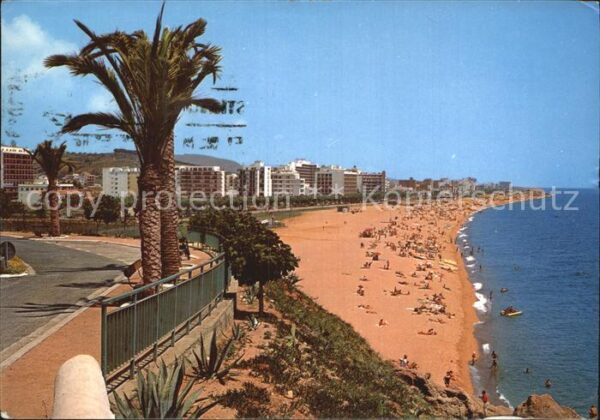 Calella de Mar Playa Strand Palmen