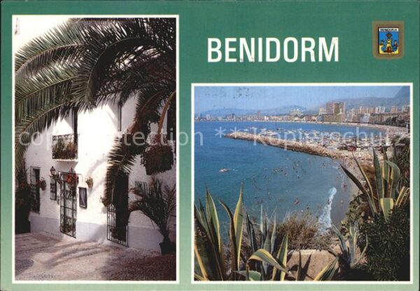 Benidorm Panorama Küste Strand Haus unter Palmen