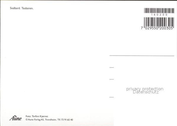 Taubanen Nachtaufnahme – Bild 2