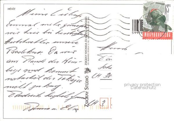 Heviz Thermalbad Seerosen – Bild 2